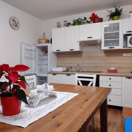 Apartman Pod Bozim Darem Jachymov Luaran gambar