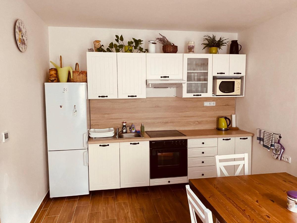 Apartman Pod Bozim Darem Jachymov Luaran gambar
